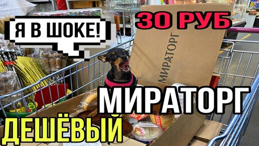 холодильник мираторг. витрины на фуд сити. фуд сити маркет. фуд сити торговый центр. фотомагазин мираторг.