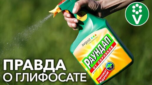 Раундап: панацея от сорняков или смертельный яд? Мнение опытного биолога