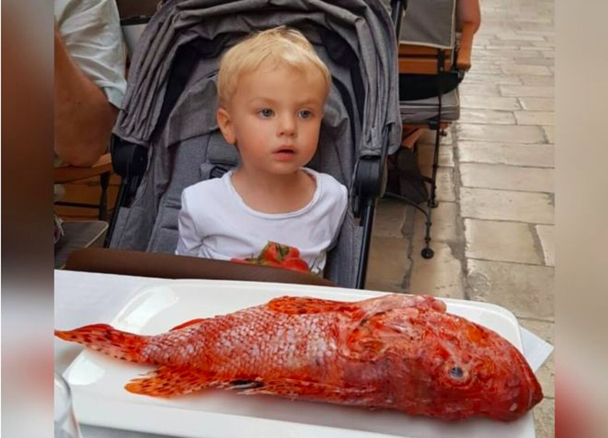 Федя на отдыхе в Хорватии