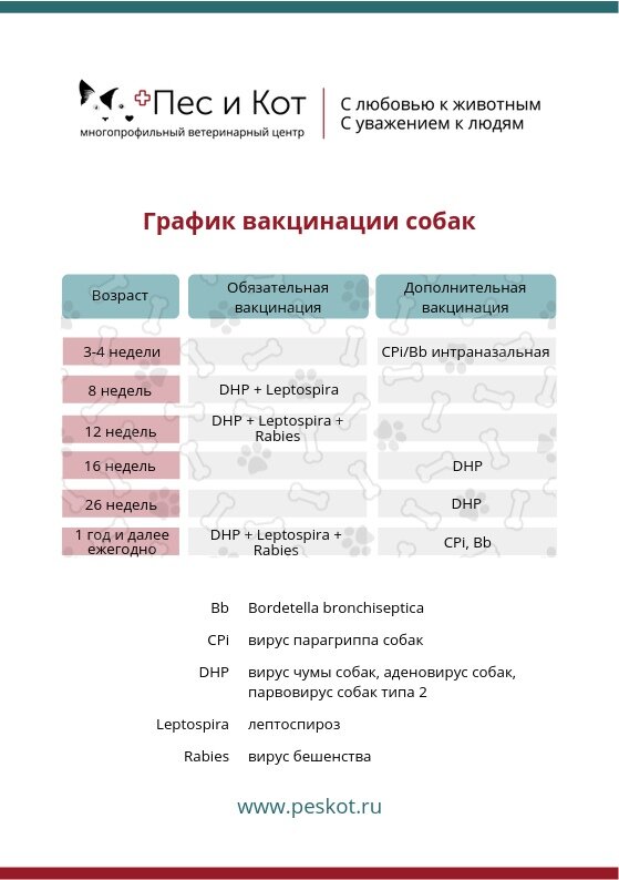 Как часто делать прививки кошкам