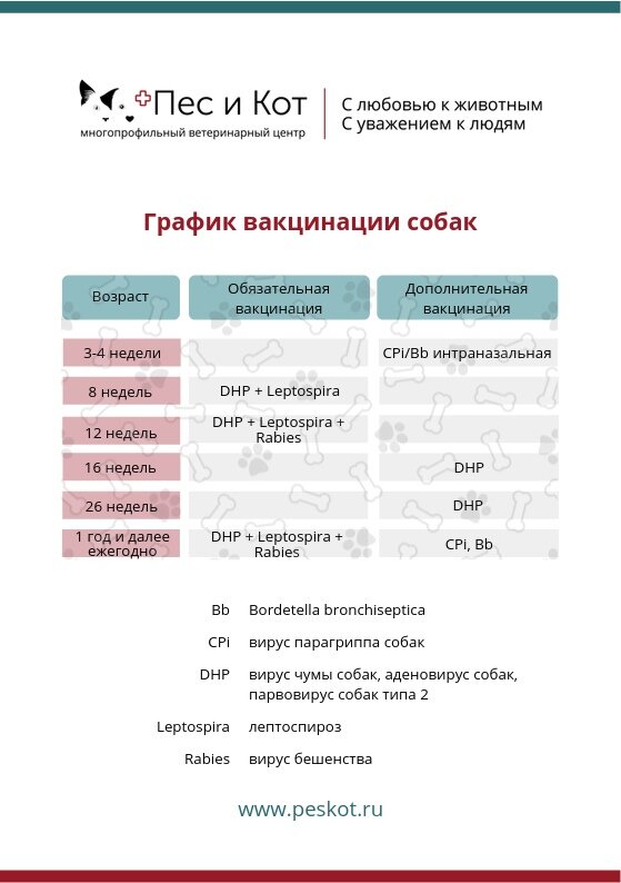 Как часто делать прививки кошкам. Схема вакцинации собак и кошек. Схема вакцинации собак. Схема прививок для кошек. Вакцины для кошек и собак таблица.