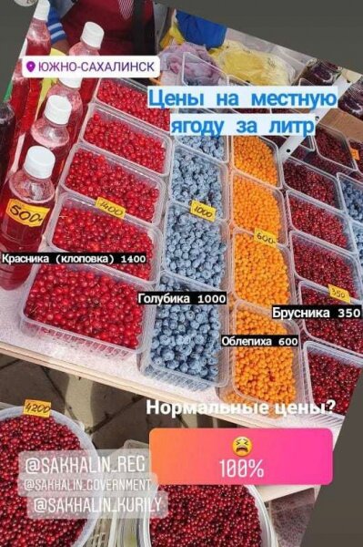 Фото: skr.su, цены на ягоду на Сахалине 