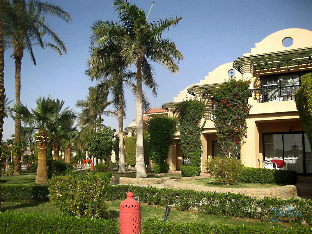 Отель ali baba palace 4 хургада египет фото