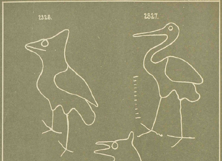 2326 - неизвестная птица, предположительно скворец, 1366 год. 2327 - аист, 1359 год.