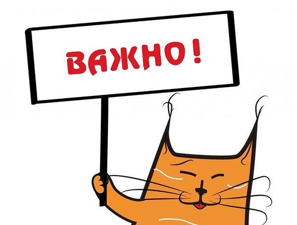 Взято с просторов