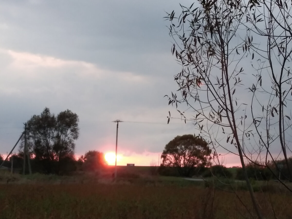 Фото автора.