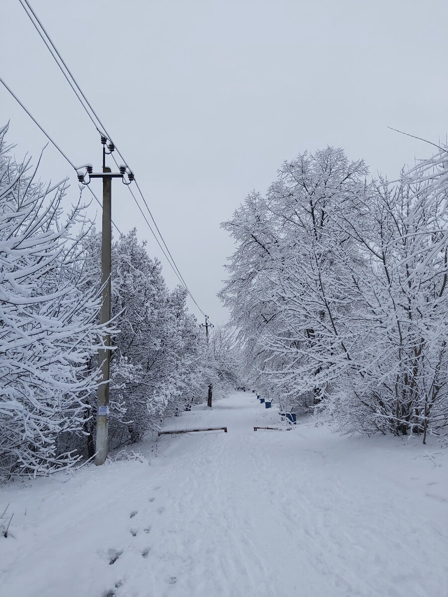 У нас сегодня очень красиво 