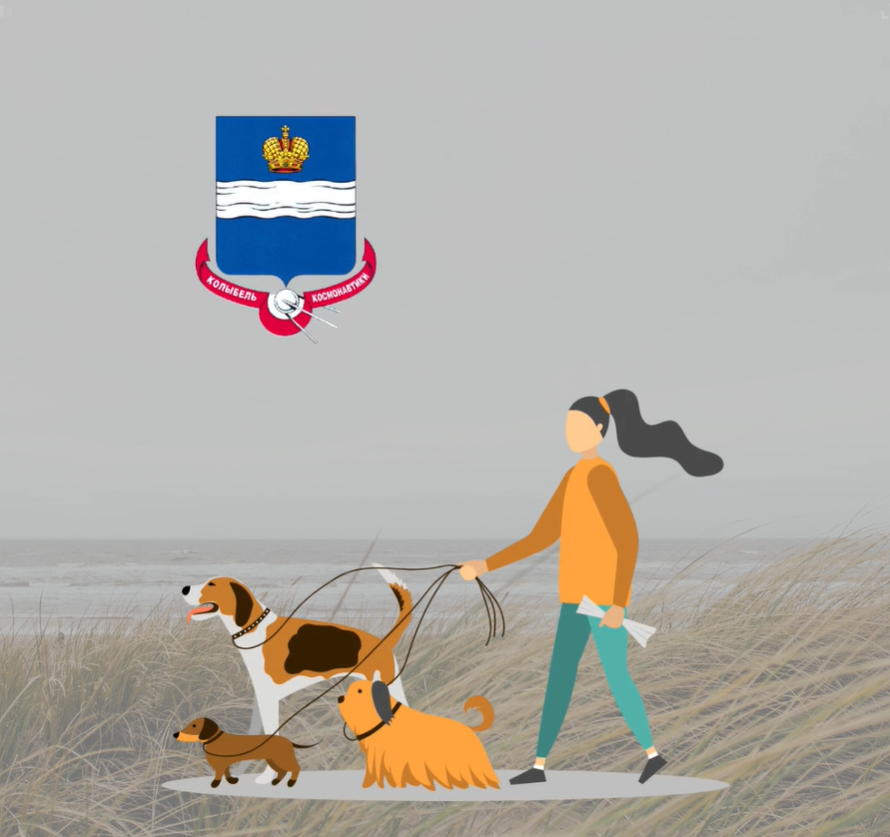 Выгул – это один из самых радостных моментов повседневной рутины для собаки. Это один из важных элементов социализации пса. Во время прогулки он знакомится с другими представителями своего рода, изучает новые территории, дает волю своей натуре. Но чтобы не было проблем с выгулом, нужно знать закон, а именно постановление Городского Головы городского округа «Город Калуга» от 04.08.2006 № 204-п. 📃 
▪ Согласно Правилам не допускается выгул собак на детских и спортивных площадках, на территориях образовательных и медицинских организаций, прилегающих к ним территориях, в парках, скверах, во дворах многоквартирных домов, на пляжах, особо охраняемых природных территориях, а перемещение собак до места выгула осуществляется с поводком и в наморднике (длина поводка - не более 1,5 метра) и выгул собак без сопровождающего лица, поводка и намордника, а также оставление собак без присмотра, за исключением случаев, когда животное временно находится на привязи около здания, строения, сооружения.

▪ Лица, осуществляющие выгул собак, обязаны незамедлительно обеспечивать устранение загрязнений.

▪  Выгул собак разрешается на площадях, пустырях и других территориях, закрепленных постановлением Городской Управы города Калуги. На отведенных для выгула собак площадках устанавливаются знаки о разрешении выгула собак, установка запрещающих знаков Правилами не предусмотрена.

Незнание закона не освобождает от ответственности, всегда помните об этом. Поэтому будьте аккуратны с вашими пушистыми друзьями!🙌🏻