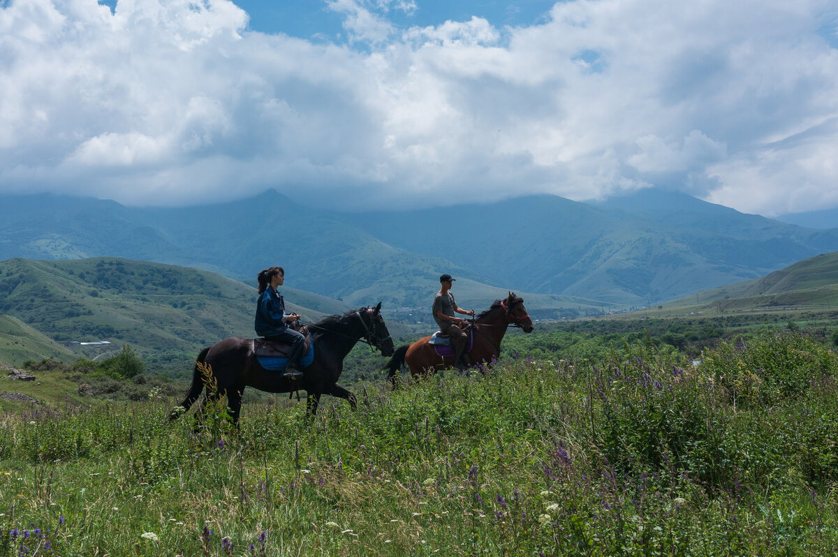 Лошади осетия. Альпийские Луга Абхазия Конная прогулка. Конные прогулки Осетия. Конные прогулки в Северной Осетии. Северная Осетия конный туризм.