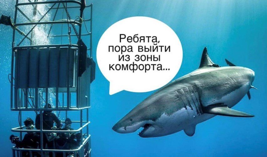 Смешные картинки про зону комфорта