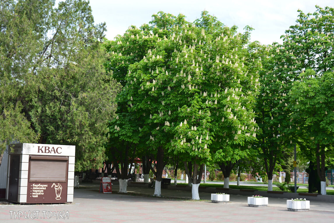 Семикаракорск. Улица Ленина