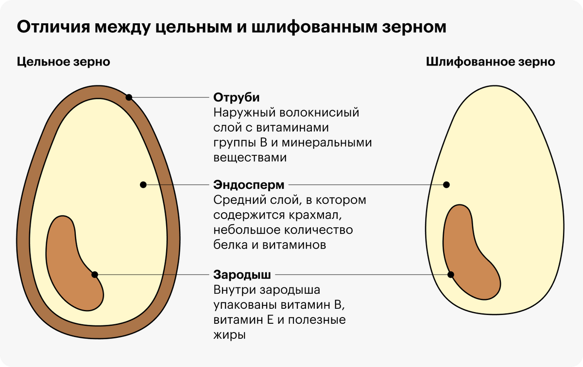 Шлифованное зерно. Цельное зерно в разрезе. Строение зерна. Цельное зерно схема.