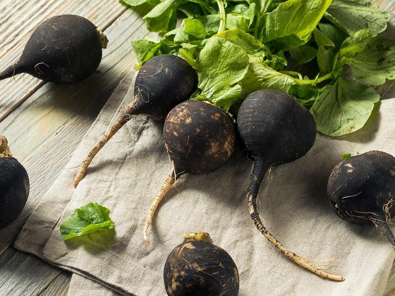 Фото: shutterstock.com