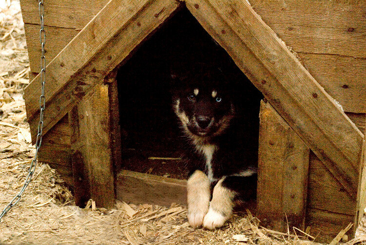 Иллюстрация из свободного доступа
