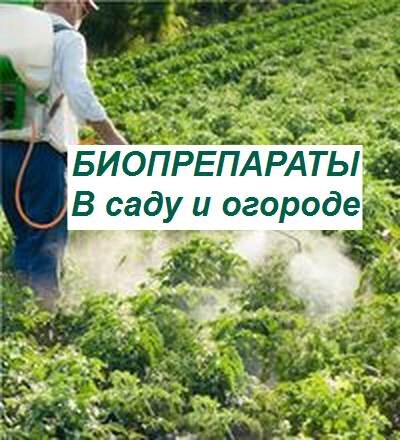 биопрепараты для сада и огорода