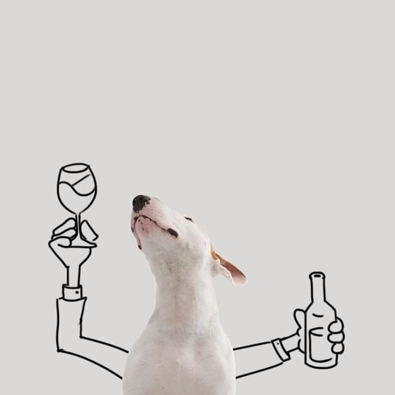 Источник фото Pinterest.