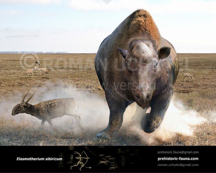 А ну щенок, в сторону…!