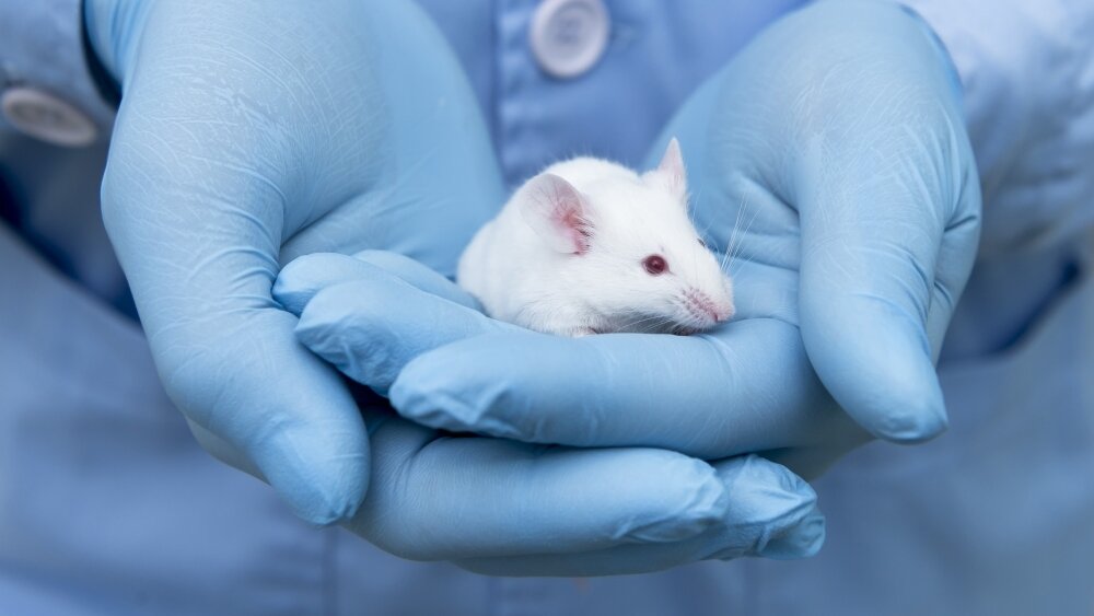   Фото: Shutterstock