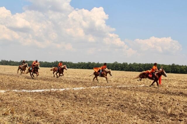    Сколько казаков из Краснодарского края участвует в спецоперации на Украине?