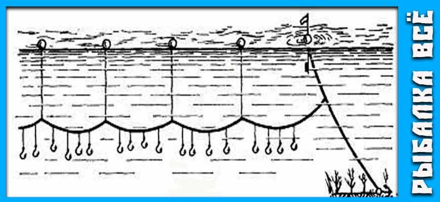 Перемет рыболовный на хищника длина 130 метров, 41 крючок