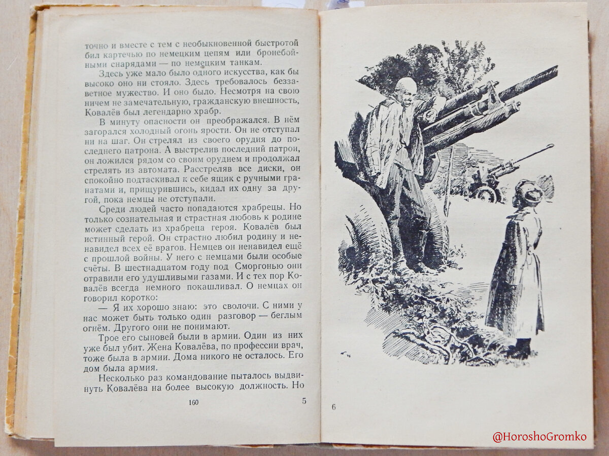 Почему китаев назвал повесть сын полка. Иллюстрации к книге сын полка Катаев. Краткий пересказ сына полка для 5 класса.