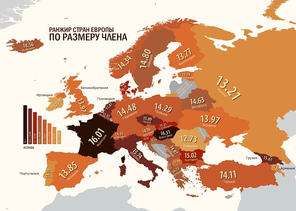 Разнообразие форм и размеров гениталий у мужчин и женщин
