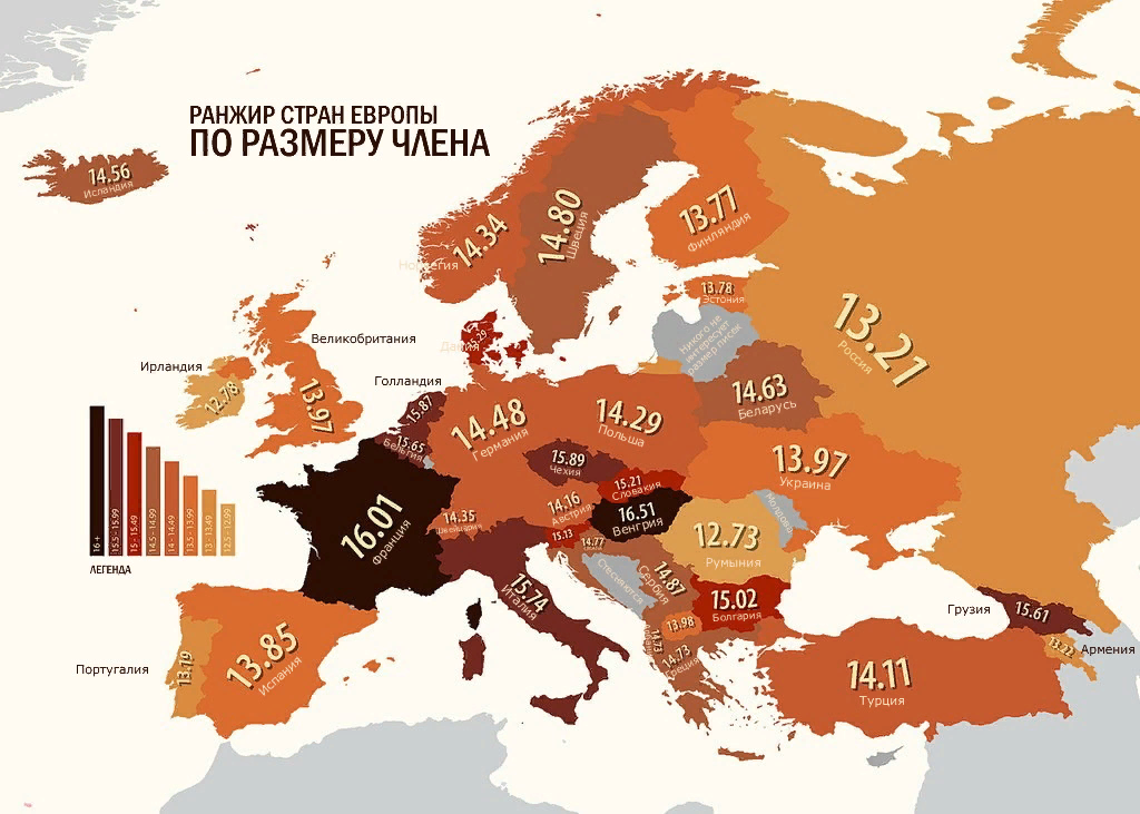 Размеры женских половых органов: исследования ученых и статистика