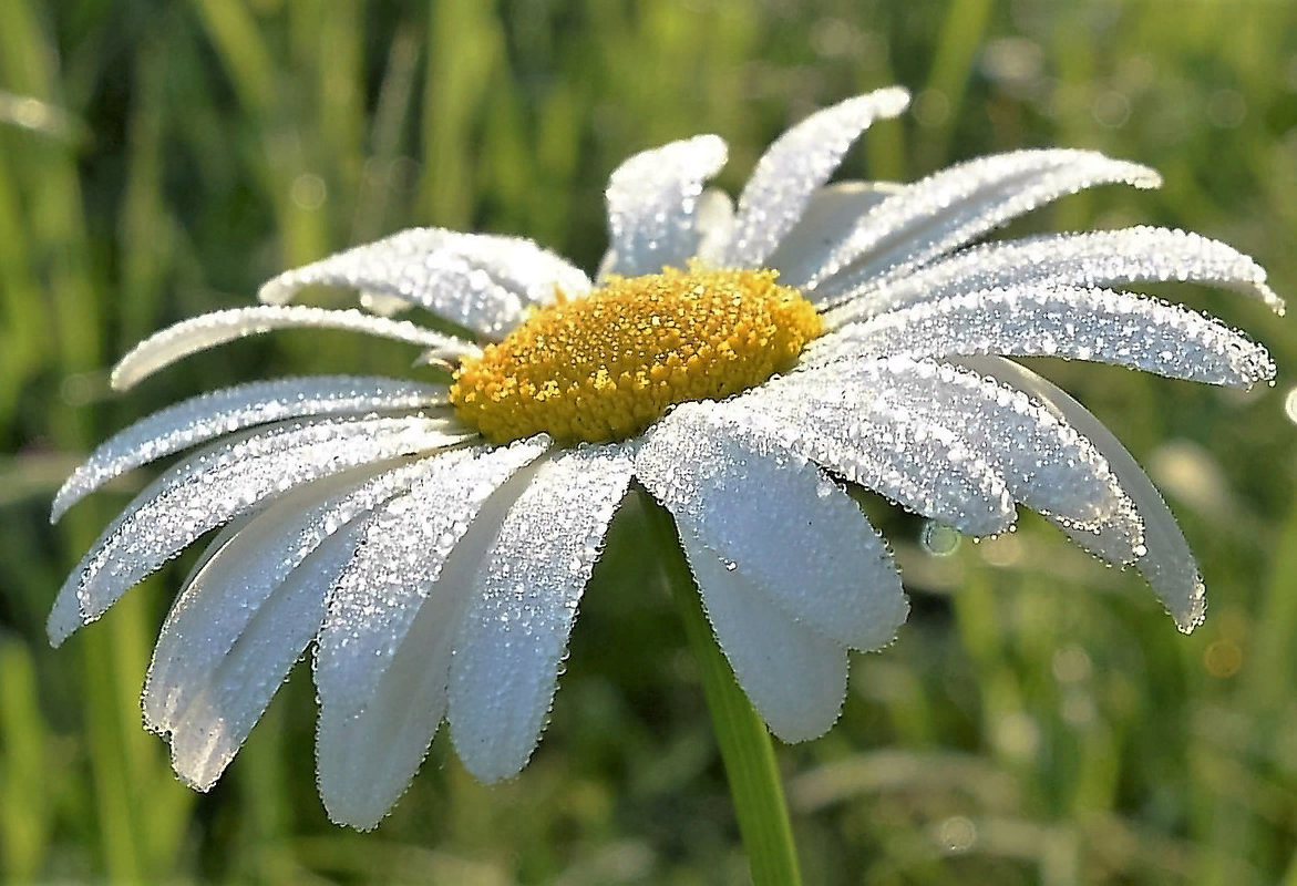 Из открытых источников,