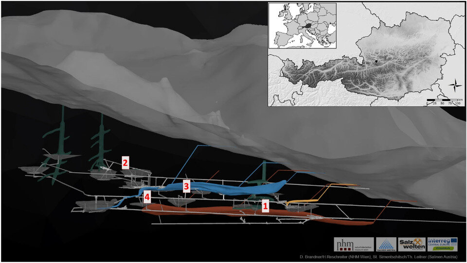   Julia Klammer; Elisabeth Barsch et al. / Scientific Reports, 2023