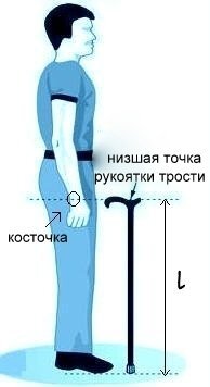 Длина трости