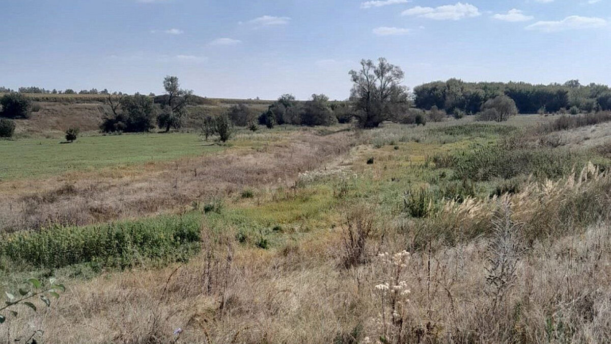    Сотрудники Минприроды обследовали два памятника природы в Горшеченском районе