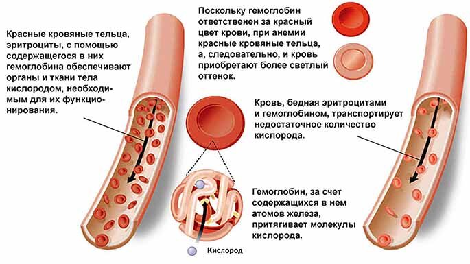 Помощник хорошего зрения