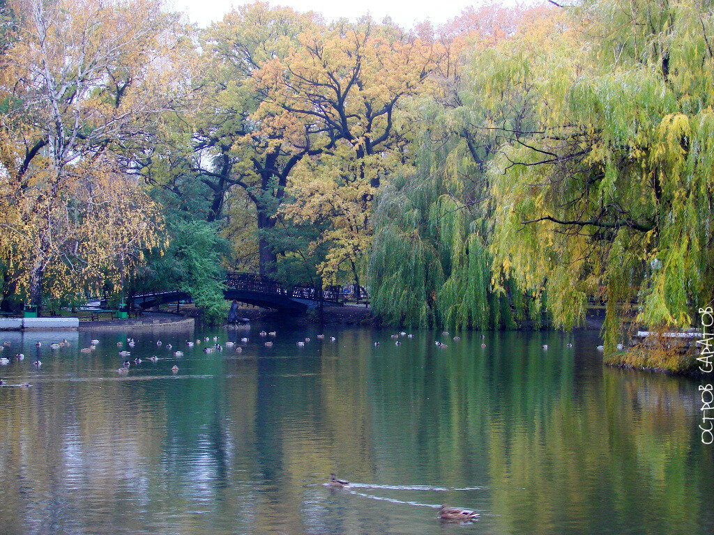 Саратовские парки