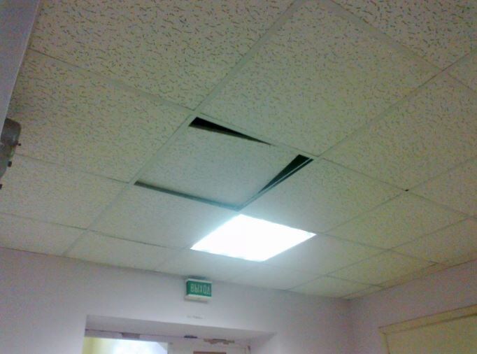 источник картинки m.pikabu.ru