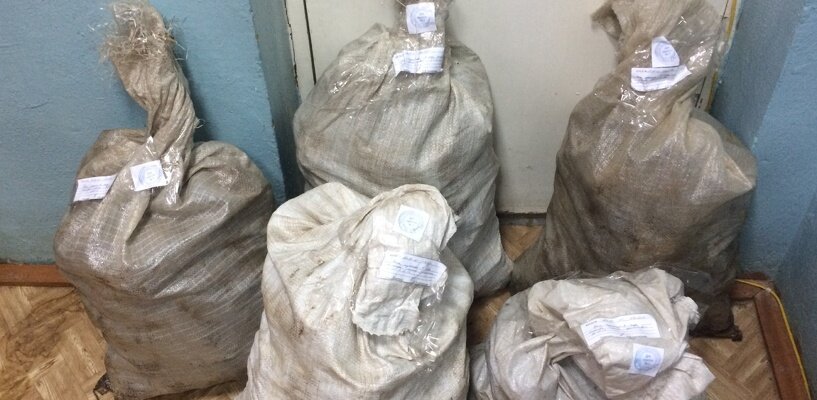 Фото: УМВД России по Вологодской области