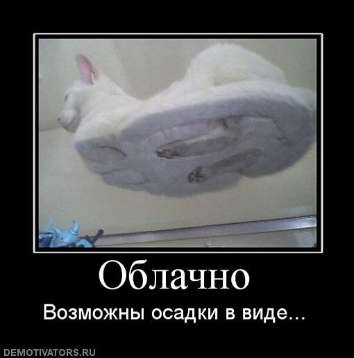 Смешные картинки дзен