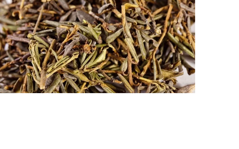   Перевод названия растения с бурятского языка: Сагаан - белый, Дали - крыло,  растет в основном на каменистой почве в горах, на высоте более 2000 метров.  Включен в Красную книгу Республики Бурятии.