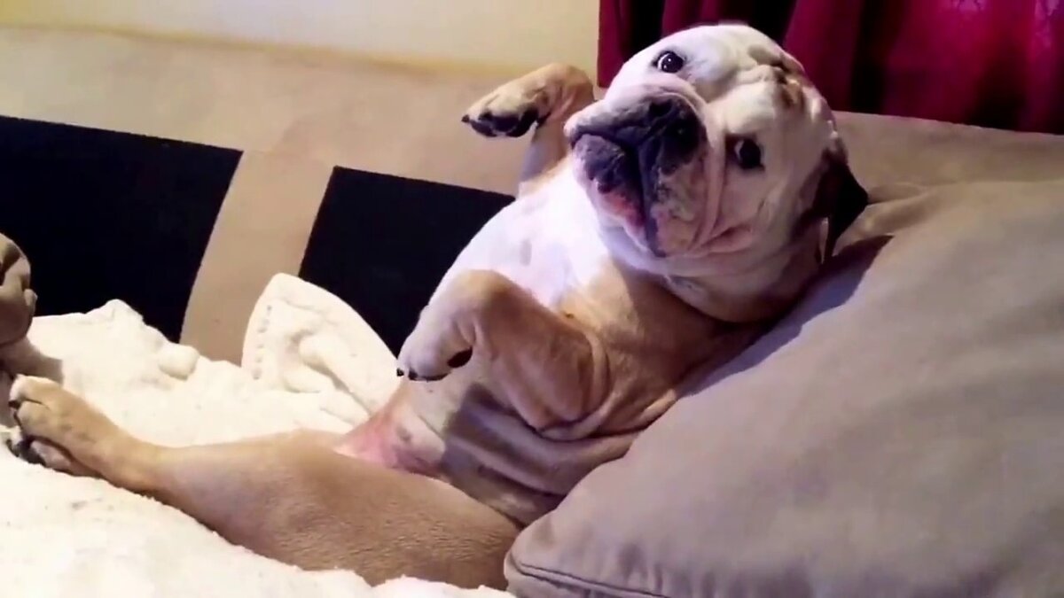 фото: youtube.com