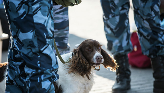  © РИА Новости / Геннадий Шишкин
