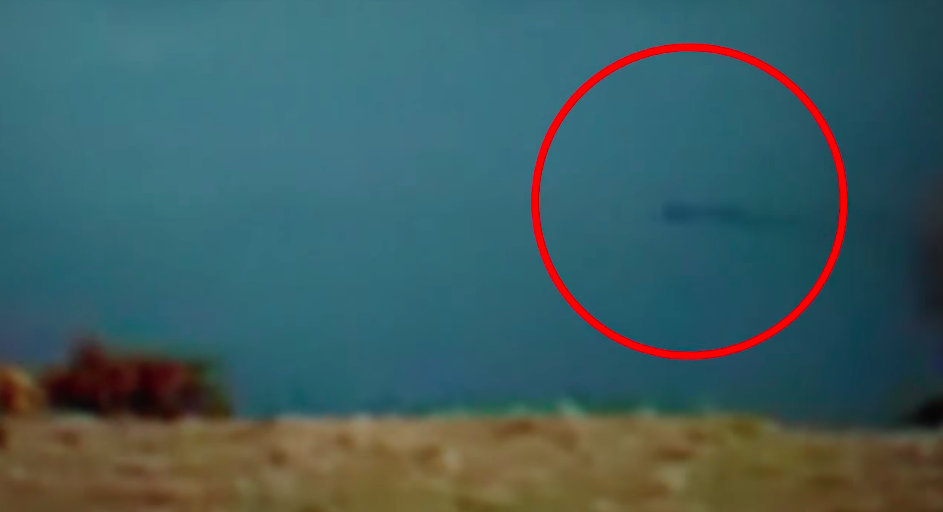 Скриншот из видео. (Daily Mail)