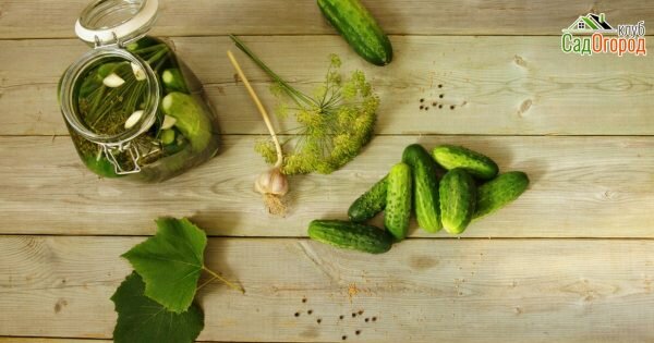 фото: depositphotos.com