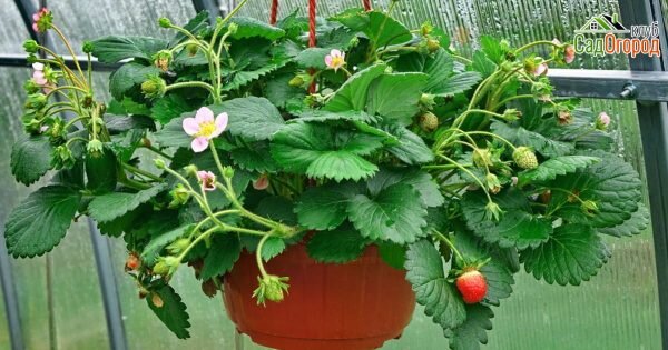 изображение: depositphotos.com