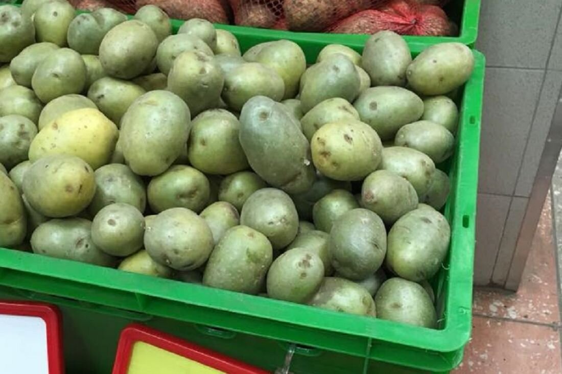 Иллюстрация svcomercio.info