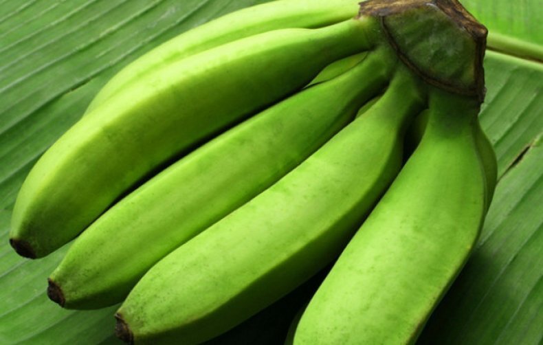 Можно есть зеленые бананы. Зеленые бананы. Зеленые бананы сорт. Недозревший банан. Маленькие зеленые бананы.
