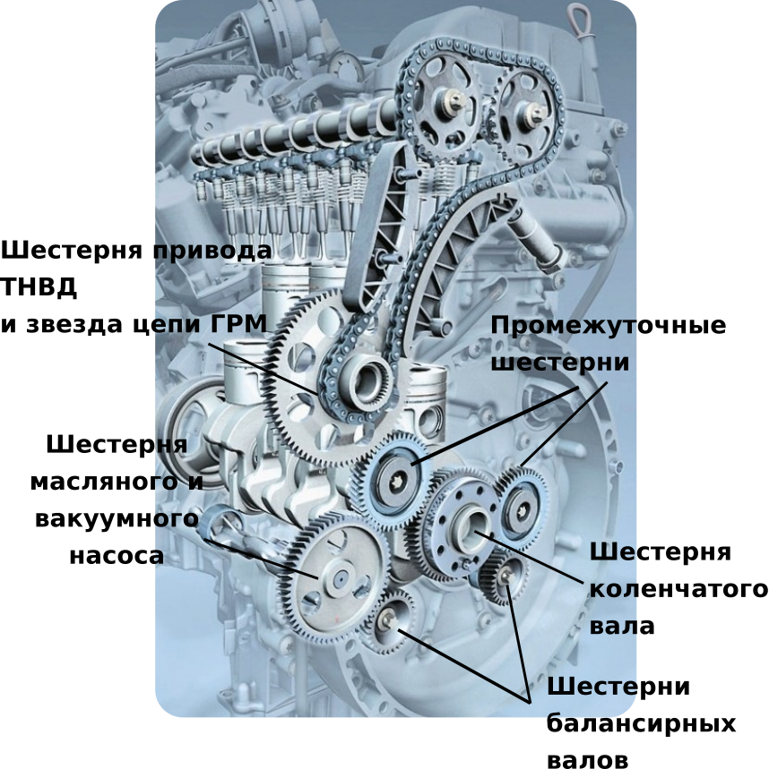 Шестеренчатый привод грм mercedes. Цепной газораспределительный механизм трактор мтз 80. Двигатель феррари энзо грм. Шестеренчатый тип привода грм. Грм автомобиля ваз.