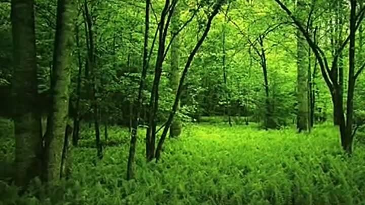   Жизнь женщины -вечная суета,ответственность за  детей . за семью, за быт... разве не так???. родилась, не успела пожить.надо устроить свою жизнь-значит,состояться как все... семья ,дети извечная тема женщины-матери,женщины- бабушки.....а где же ее жизнь-беззаботная, безответственная, бесшабашная??? завидую горному ветру, птицам в полете, волнам в необъятном водоеме  они  счастливы в своем желании , в свободе ... бушуют моря, океаны.... и они счастливы в своем свободном движении... люди....мимолетные страсти, увлечения , погоня за славой, желания достичь цели в любом аспекте, коротать     досуг с друзьями....женщина в семье, просто домработница.... все ложится на ее плечи...забота, дети , супруг(если его так можно называть),который  посочувствует ей , считая, что в  обязанности  женщины входит  не только постоянная тревога за детей, их воспитание, бессонные ночи у постели больного ребенка, но и ее жизнь, ее желания, ее стремление к чему-.то большему,просто жить в свое удовольствие, чувствовать размах своих "крыльев!, полет души... наконец , чтобы тебя любили и дорожили тобой.... бедные женщины.... очень немногие счастливы в браке...немного их , которые могут за себя постоять,подумать о себе, о том , что жизнь быстротечна. непредсказуема... а молодость и красота -эта блажь , данное им природой.......на закате жизни, понимаешь, что все прошлое -сон.... никогда -никогда не вернуть те счастливые мгновения   беззаботной безоблачной жизни- душевного полета и безоблачной мечты...... оглянитесь дорогие женщины,живите полной жизнью, чтобы потом не сожалели ,что вся ваша сущность,  силы и здоровье , остались где-то позади, не успели оглянуться -ничего нет, только пустота души и и горькое сожаление упущенного времени....потом  - забвение...