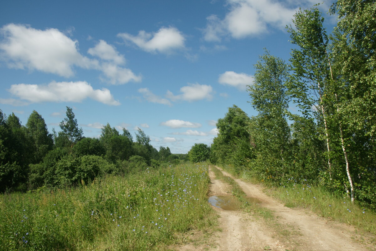 Фото собственное
