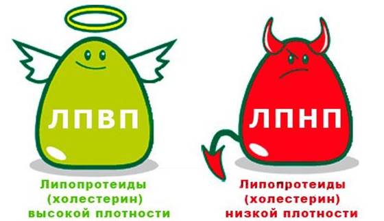 фото: http://www.ubvyborg.ru