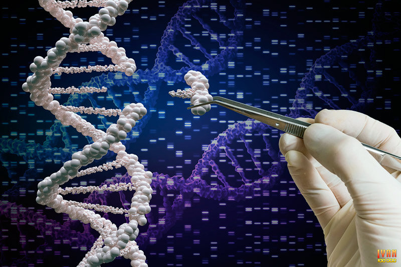 Строение ДНК человека...