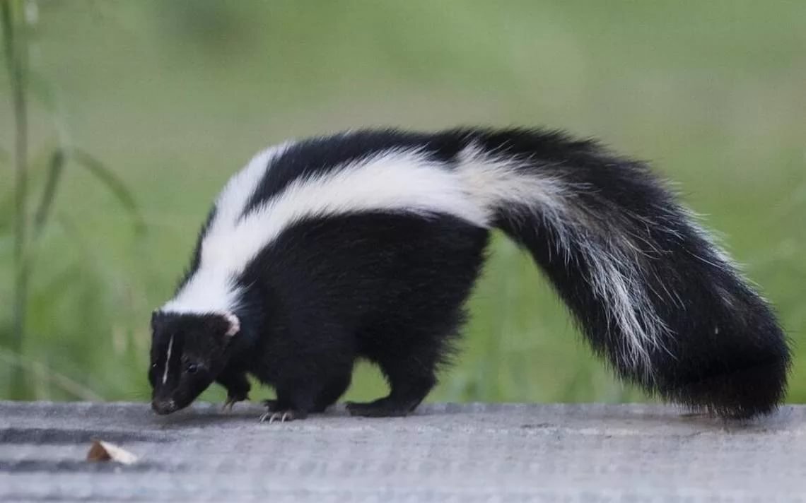 Тот самый парень, которым будет пахнуть испортившееся пиво